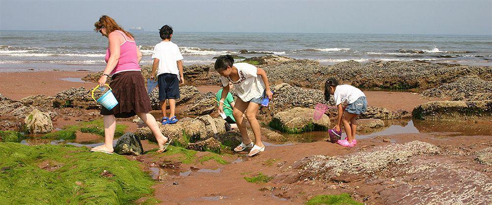 Beaches Guesthouse Paignton Zewnętrze zdjęcie